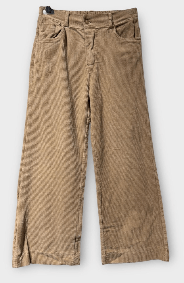 Pantalon velour 